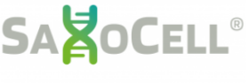Logo SaxoCell grau mit grüner DNA-Helix als x