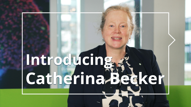 Foto von Prof. Catherina Becker mit dem Schriftzug 'Introducing Catherina Becker'