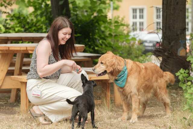 Foto einer Frau und zwei Hunden, mit denen sie interagiert.