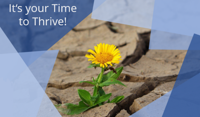 Ein Foto einer Blume, die zwischen vertrockneten Bodenkrustenteilen erblüht. Dazu der Text 'It's your Time to Thrive!'.