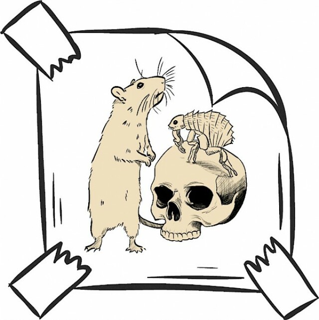 Zeichnung einer Ratte und einem Totenkopf.