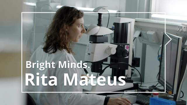 Dr. Rita Mateus arbeitet einem Labor am Mikroskop.