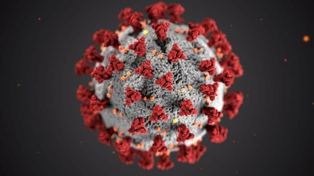 A 3D visualization of the coronavirus. A grey ball on a black background. The ball has yellow and orange dots and red spikes on its surface