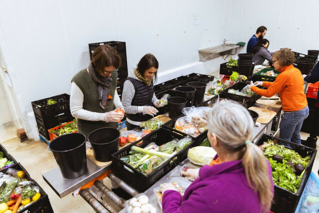 The photo shows some people sorting food into many boxes.