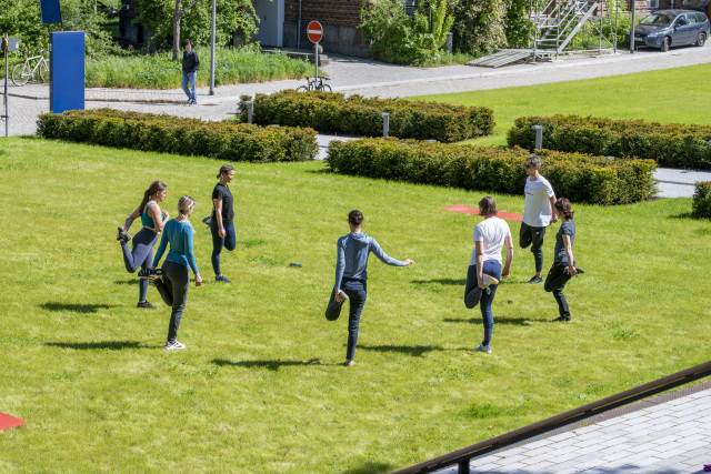The photo shows a small group of people standing in a circle on a meadow and doing sport together. The camera's perspective is diagonally from above.