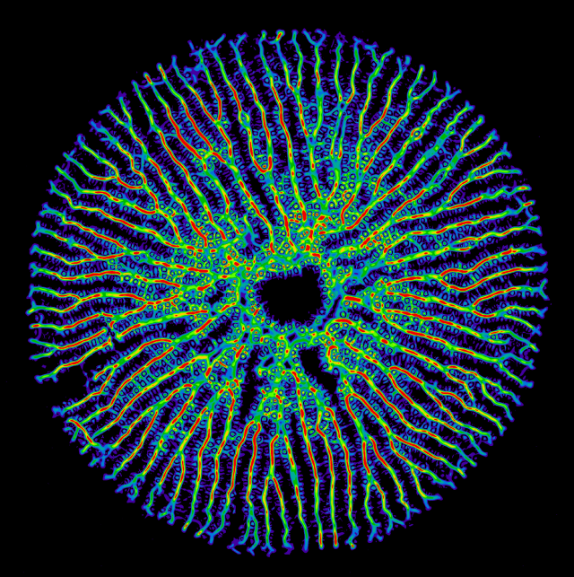 A series of colorful patterns emerge from a single central seed, which is a young diatom valve. These grow outwards and form a halo of branches around the center. 