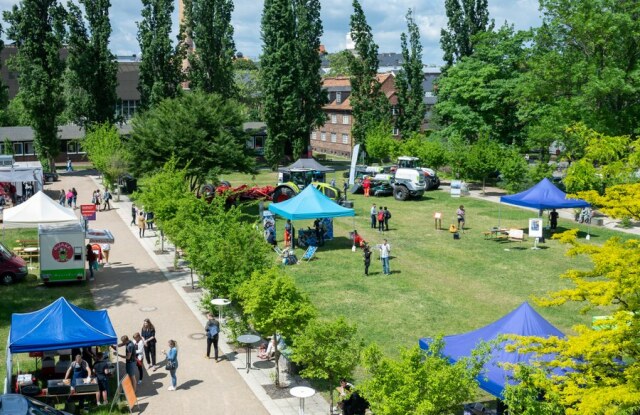 Luftaufnahme der HSZ-Wiese im Frühsommer. Einige Stände mit blauen Pavillons.