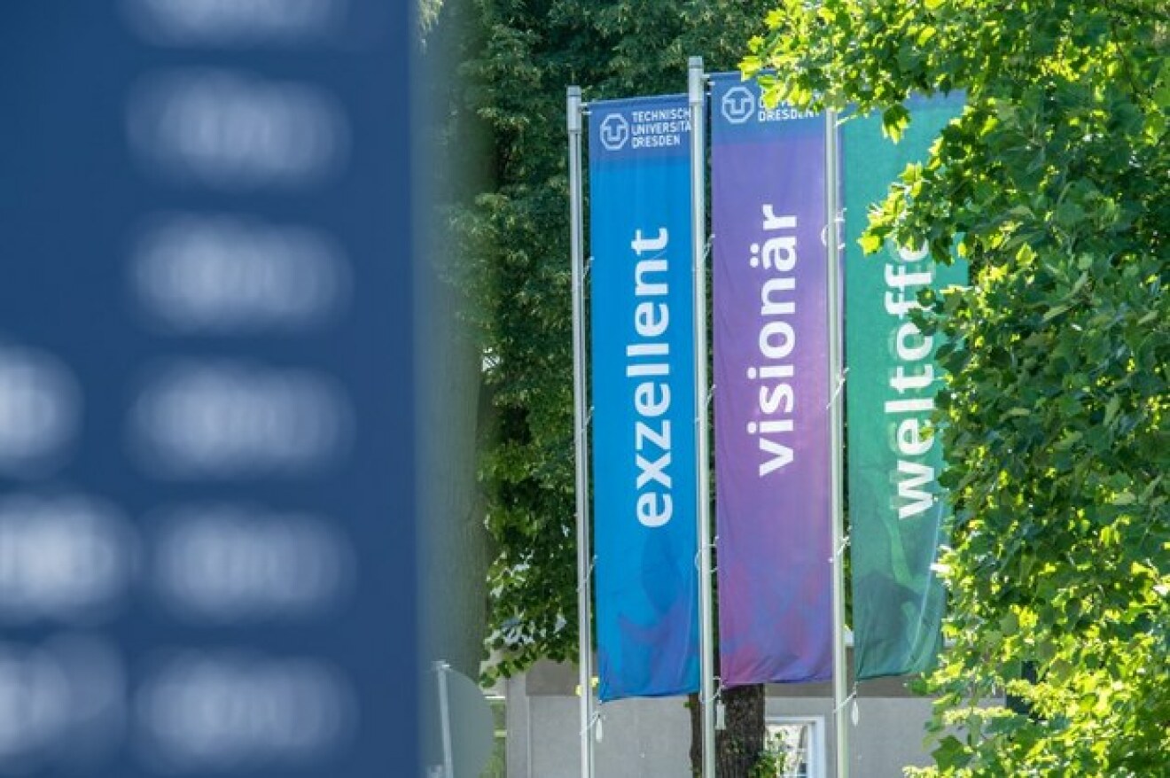 Three banners, from the left, each in white, written from bottom to top, teal 'excellent', purple 'visionary', green 'cosmopolitan'. To the left, a blurred blue building. Trees in the background.