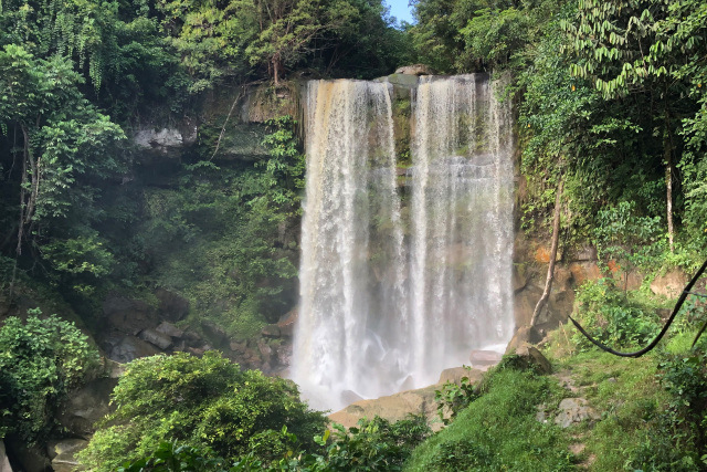 Bild eines Wasserfalls im Dschungel
