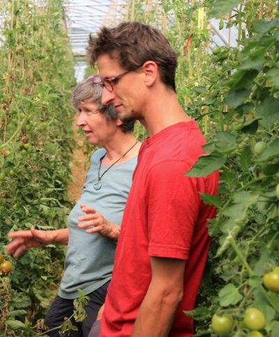 Kultursaat-Züchter im Tomatenprojekt AlResiTom.