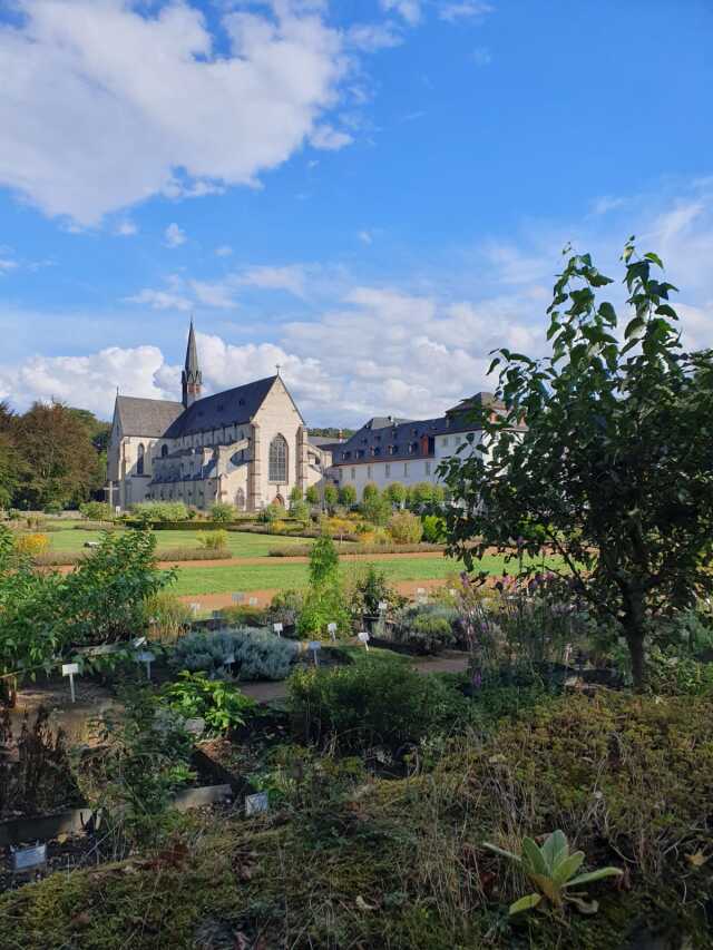 A panoramic view of Marienstatt Monastery, with numerous plants in the foreground