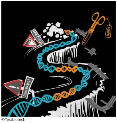Copyright Testbiotech