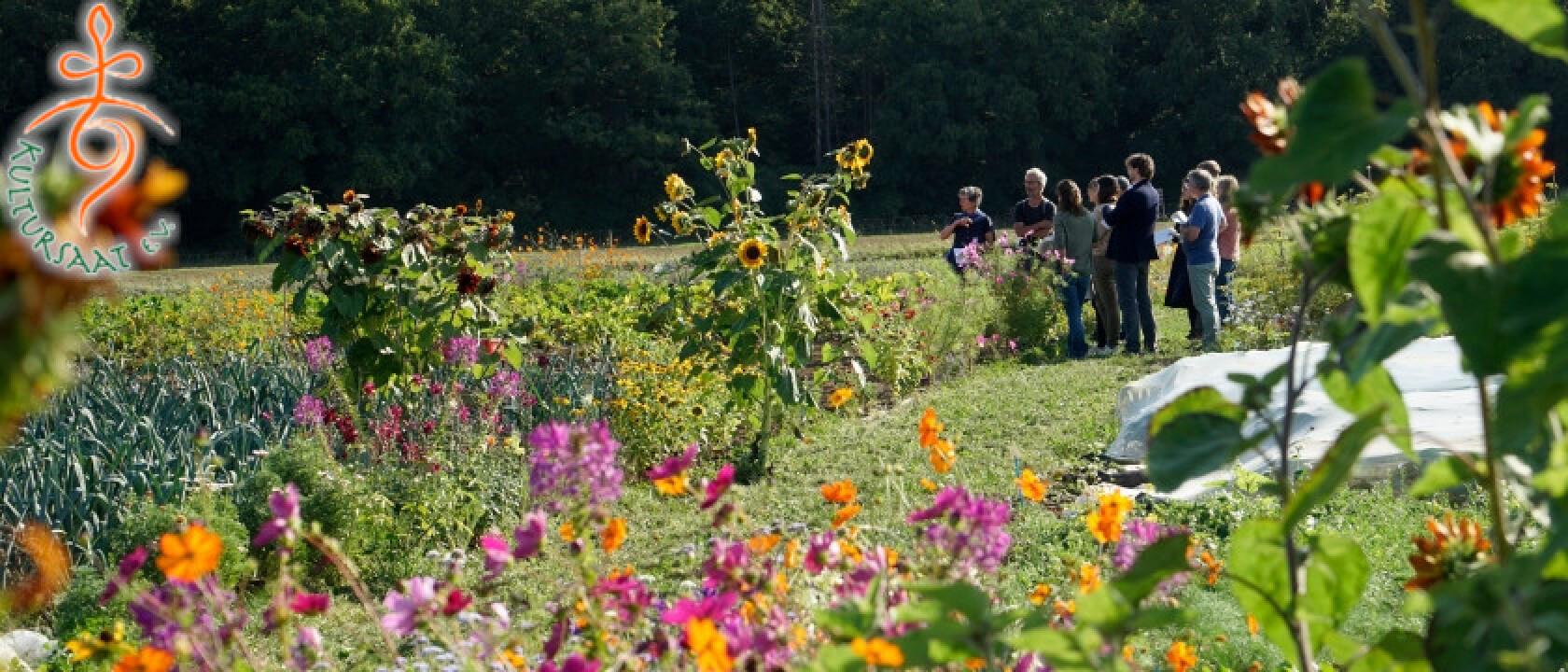 Copyright Kultursaat e.V.