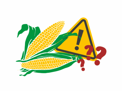 Maisgrafik - Copyright Mira Nograsek / Global 2000